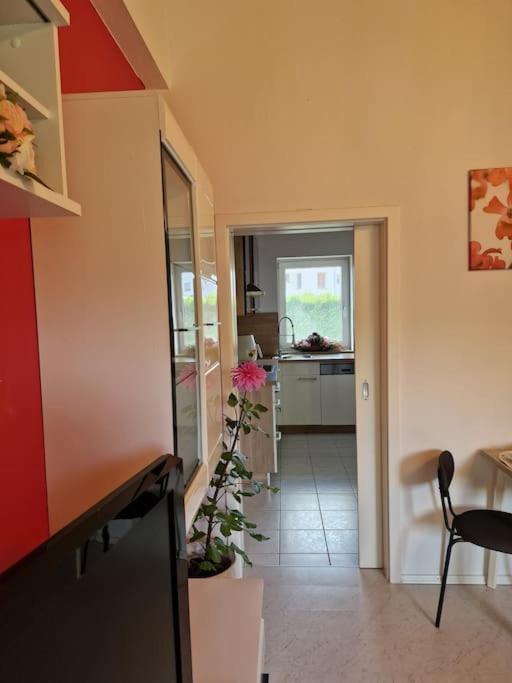 Ferienwohnung Bayernbrise Rohrdorf  Zewnętrze zdjęcie